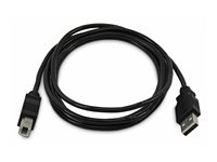 StarTech.com - USB-kabel - TAA-samsvar - USB (hann) til USB-type B (hann) - USB 2.0 SKUSBAB06-TAA