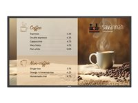 Philips 43BDL6017P - 43" Diagonalklasse (42.5" synlig) - P-Line 6000 Series LED-bakgrunnsbelyst LCD-skjerm - intelligent skilting - 4K UHD (2160p) 3840 x 2160 43BDL6017P/00