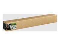 Epson Fine Art II - Bomull - matt - 515 mikroner - klarteksturert - Rull (111,8 cm x 15 m) - 300 g/m² - 1 rull(er) boks - klutepapir C13S450286NQ