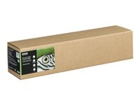 Epson Fine Art II - Bomull - glatt matt - 490 mikroner - sterkt hvitt - Rull (61 cm x 15 m) - 300 g/m² - 1 rull(er) boks - klutepapir C13S450271NQ