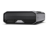 SanDisk Professional G-DRIVE PROJECT - Harddisk - Enterprise - 22 TB - ekstern (stasjonær) - USB 3.2 Gen 2 / Thunderbolt 3 (USB-C kontakt) - 7200 rpm - grå SDPHG1H-022T-MBAAD