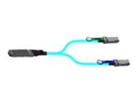 NVIDIA - 200GBase til 2x 100GBase direkte tilkoblingsspliterkabel - OSFP finned til QSFP56 flat - fiberoptisk - Active Optical Cable (AOC) 980-9I111-00H005
