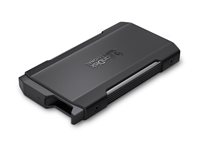 SanDisk Professional PRO-BLADE - Drevkabinett - USB 3.2 (Gen 2x2) SDPM2NB-0000-GBAND
